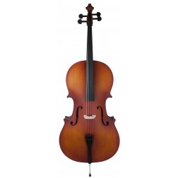 Violoncello 4/4 Amadeus CA10144